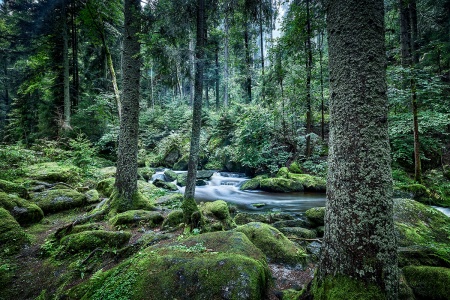 Höllfall