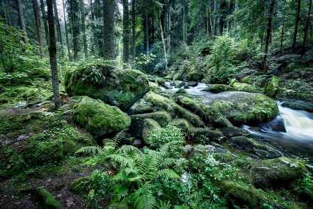 Höllfall