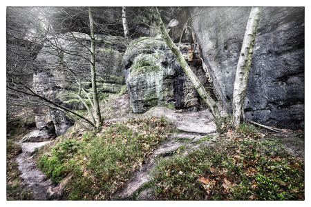Elbsandstein