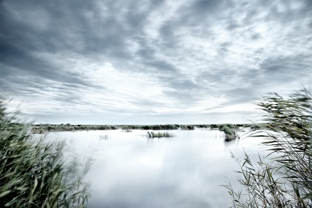 Neusiedlersee
