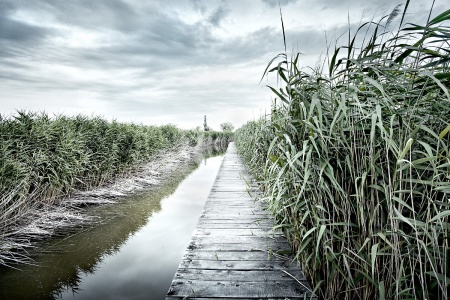 Neusiedlersee