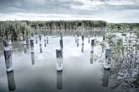 Neusiedlersee