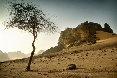 Akkakus - Libyen