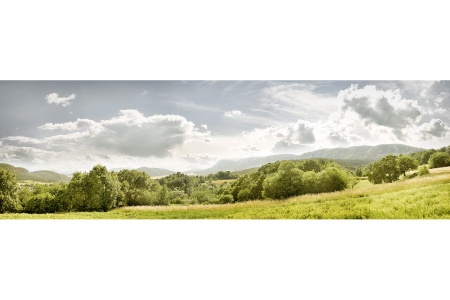 Hohe Wand