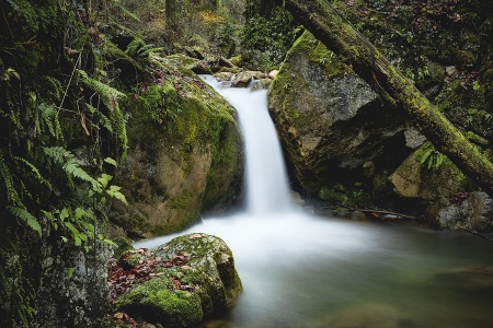 Bärenschützklamm