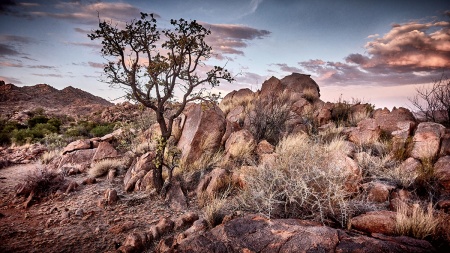 Namibia