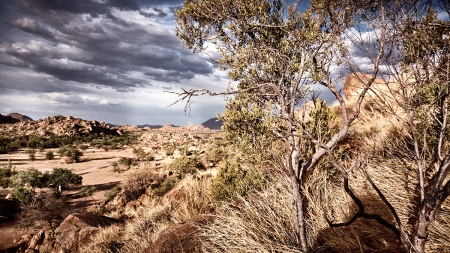 Namibia